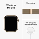 Apple Watch Series 8 Gold Stainless Steel Case