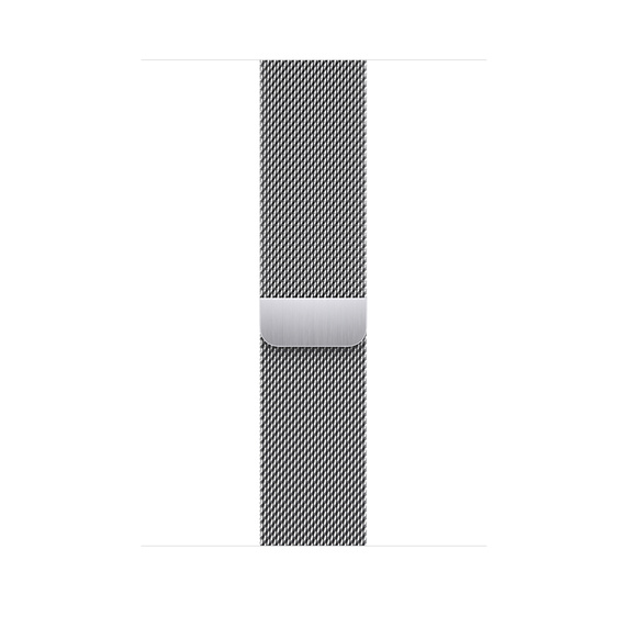 Apple 38/40/41mm Silver Milanese Loop