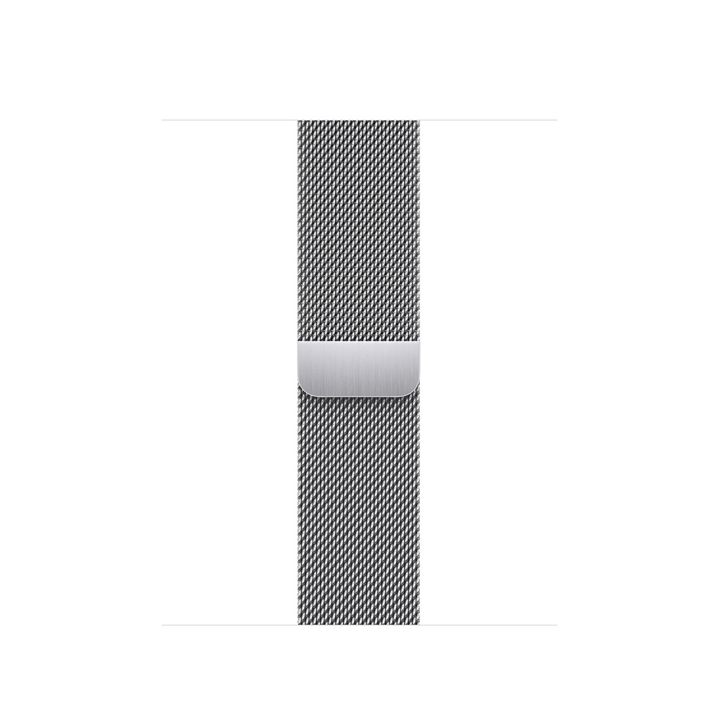 Apple 38/40/41mm Silver Milanese Loop