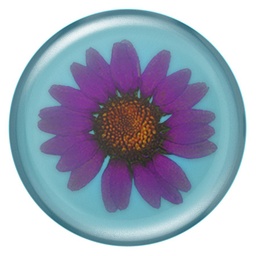 [806776] PopSockets - PopGrip Pressed Flower Purple Daisy
